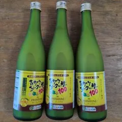 沖縄 シークワーサー 100%500ml 12本セット賞味期限26.11.03 - メルカリ