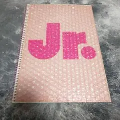 嵐★ジャニーズJr.★1999年春コンパンフ