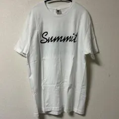 Item thumbnail for item 5eb2cef4-2401-4ca3-809b-4b03fc1322a4