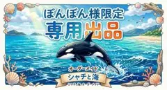 ぼんぼん様専用 シャチ、海、オーダーメイド相談受付