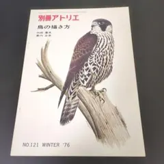 Item thumbnail for item 1d711898-e401-47cc-9d18-f3620cd7b0a4