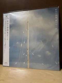 きのこ帝国 愛のゆくえ 初回限定盤CD＋DVD 佐藤千亜妃 - メルカリ