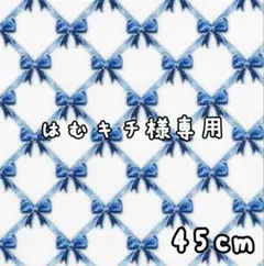 はむキチ様専用♡　　輸入生地　USAコットン