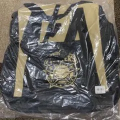 Item thumbnail for item 6513aadd-2221-41d9-ab30-9f16188de5fa