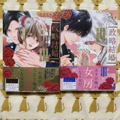 政略結婚～ヤクザなアイツとお嬢な私～上下セット