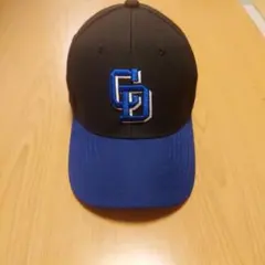 Item thumbnail for item 8fa30927-fb51-4783-9d71-8a8d0d6f5ea6