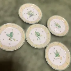 ナルミ花と葉デザインの食器セット 5枚