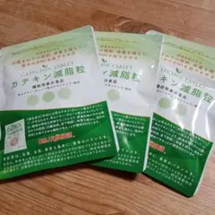 DMJえがお生活 カテキン減脂粒 62粒入 3袋セットのサムネイル