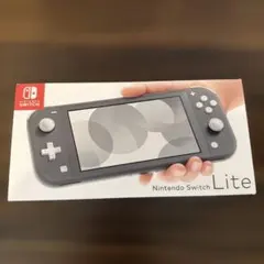 Nintendo Switch Lite グレー