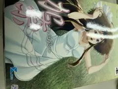 加奈 いもうと 限定版 PSP ソフト