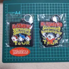 2026年最新】hi-standard キーホルダーの人気アイテム - メルカリ
