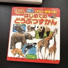 はじめてずかん 絵本