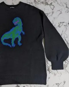 希少 新品 ユニセックスアイテム dinosaur knit 恐竜 ニット