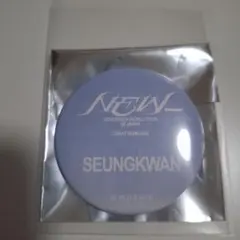 SEVENTEEN セブチ 輪投げ わなげ 缶バッジ　スングァン