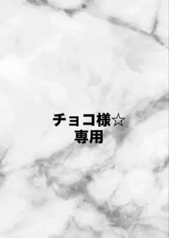 専用ページ
