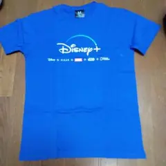 Ｔシャツ　BLUEМサイズ