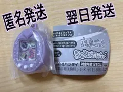たまごっち　シャカシャカチャームコレクション3 まめっち　【パープル】