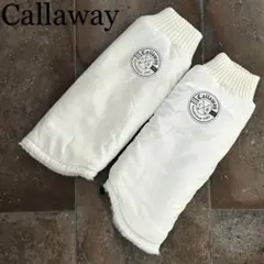 Item thumbnail for item e4f81a9f-8a71-44b1-bc44-a84d66b0a021