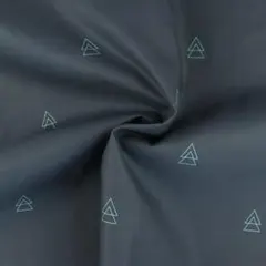 Item thumbnail for item ea8ba718-510b-4e3a-96fc-84a7971c4915