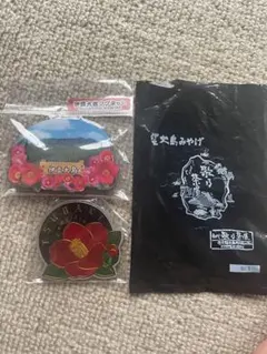 Item thumbnail for item 99b6abb0-8733-441a-a5c2-a8b56d110897