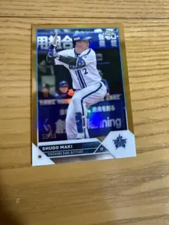 Item thumbnail for item 687778ad-f67e-4d44-a95d-02c04785e163