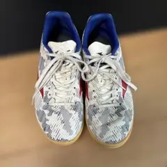 ミズノ　フットサルシューズ23センチ