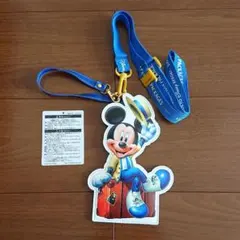 ディズニー＊バケーションパッケージ＊パスケース
