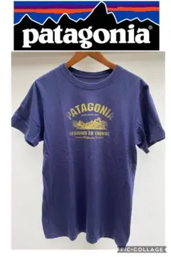 [廃盤品][中古美品]Patagonia メンズ オーガニックコットン Tシャツ