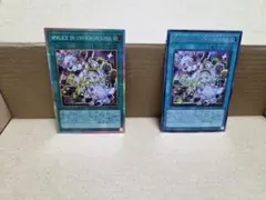 遊戯王リミコレ　マリスインアンダーグラウンド　 プリシク