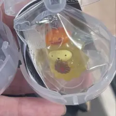 폼폼푸린 할로윈 메지루시 액세서리