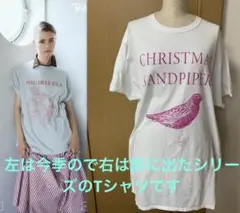 RH Vintage CHRISTMAS SANDPIPER Tシャツのサムネイル