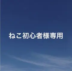 ねこ初心者様　専用ページ