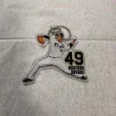 大竹耕太郎アクキー