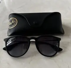 Ray-Ban マットブラックサングラス ケース付き