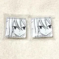 フェアリーテイル ミニアクリルブロック メイビス