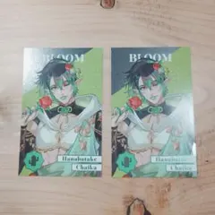 にじさんじ8th　花畑チャイカ