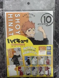 ハイキュー!! 振り向きA5ポストカードセット ポストカード10枚入り