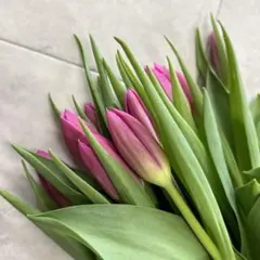 よっちー様 リクエスト 2点 まとめ商品