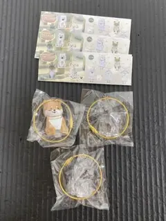 わんこのタイムカプセル　ラテ　まめ　モコ　3個セット