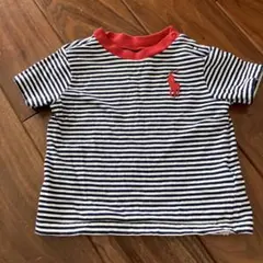 ラルフローレンストライプ Tシャツ ポロ馬刺繍
