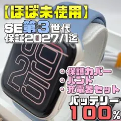 保証有【ほぼ未使用】BT100% SE3 保護カバー＋バンド＋充電器 1959 