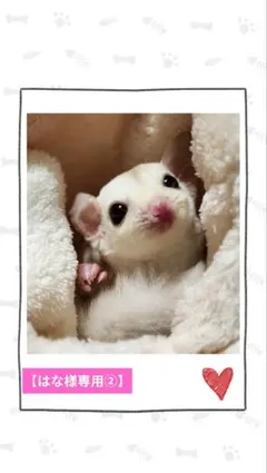 【はな様専用②】モモンガポーチ