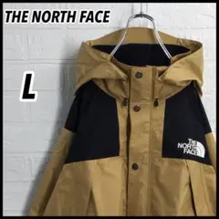 THE NORTH FACE マウンテンレインテックス L ゴアテックス AT