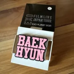 EXO ベッキョン　ペンライトアクセサリー