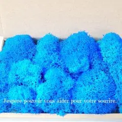 加工花材＊　モス　プリザーブドフラワー　ハーバリウム　レジン　アレンジメント