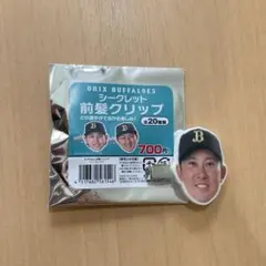 Item thumbnail for item 6ff5efe1-16fa-4a9d-81aa-d4dd3b695483