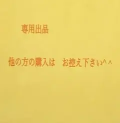 専用出品