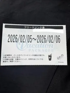 専用です。ディズニー　フリードリンク券
