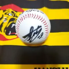 阪神タイガース　藤浪　中谷　まあちゃん様専用