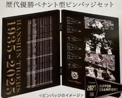 阪神タイガース　年間指定席　2025 記念品　歴代優勝ペナント型ピンバッジセットのサムネイル